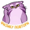 manya_the_manul_vk 6