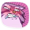 manya_the_manul_vk 7