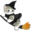 kittynyam 5