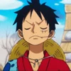 luffy 5