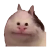 michis 6