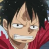 luffy 6