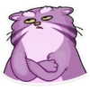 manya_the_manul_vk 9