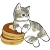 kittynyam 7