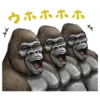 Gorilla gorilla 6