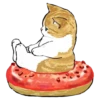 kittynyam 9