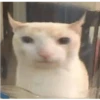 michis 10