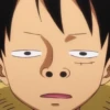 luffy 8