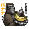 Gorilla gorilla 8