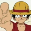 luffy 9