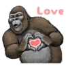 Gorilla gorilla 9