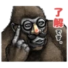 Gorilla gorilla 10