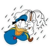 Donald Duck 12