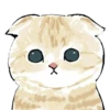 kittynyam 12