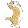 kittynyam 14