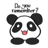 Pink Panda 9