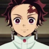 Kimetsu No Yaiba 12