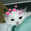 cute pets 9