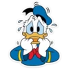 Donald Duck 13