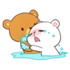CoupleBear 11