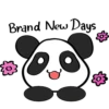Pink Panda 12