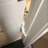 cute pets 11