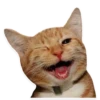 kitani 9