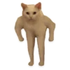 kitani 10