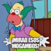 Memes de los Simpsons 14