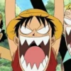 luffy 20