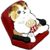kittynyam 16