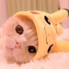 cutie kittens 14