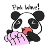 Pink Panda 19