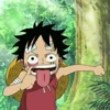 luffy 22