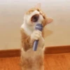 cute pets 19
