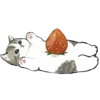 kittynyam 20