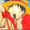luffy 24