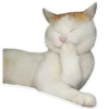 kitani 18
