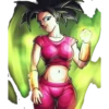 DragonBallLovers 20