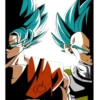 DragonBallLovers 21