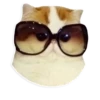 kitani 21