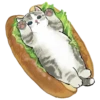 kittynyam 24