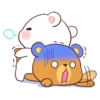 CoupleBear 24