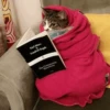 cute pets 25