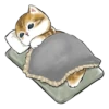 kittynyam 26