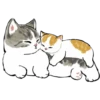 kittynyam 27