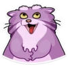 manya_the_manul_vk 13