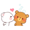 CoupleBear 28