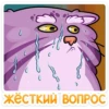 manya_the_manul_vk 14