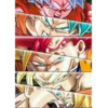 DragonBallLovers 27